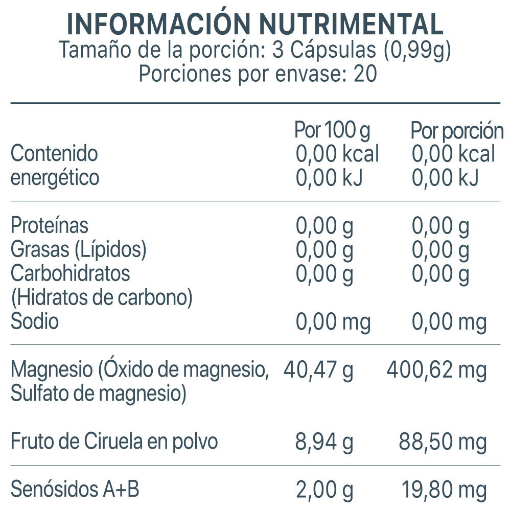 Processor 24